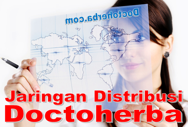 Jaringan Distribusi Doctoherba