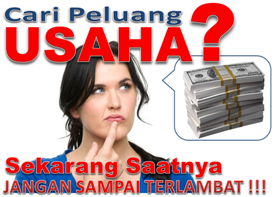 Peluang Usaha