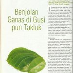 Teh Daun Sirsak