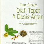 Teh Daun Sirsak