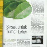 Teh Daun Sirsak