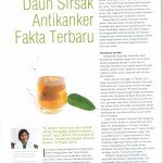 Teh Daun Sirsak