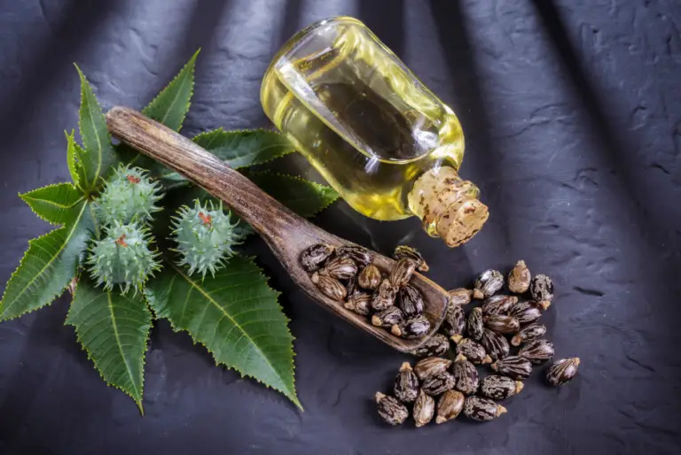 The Best Organic Castor Oils for Hair Growth